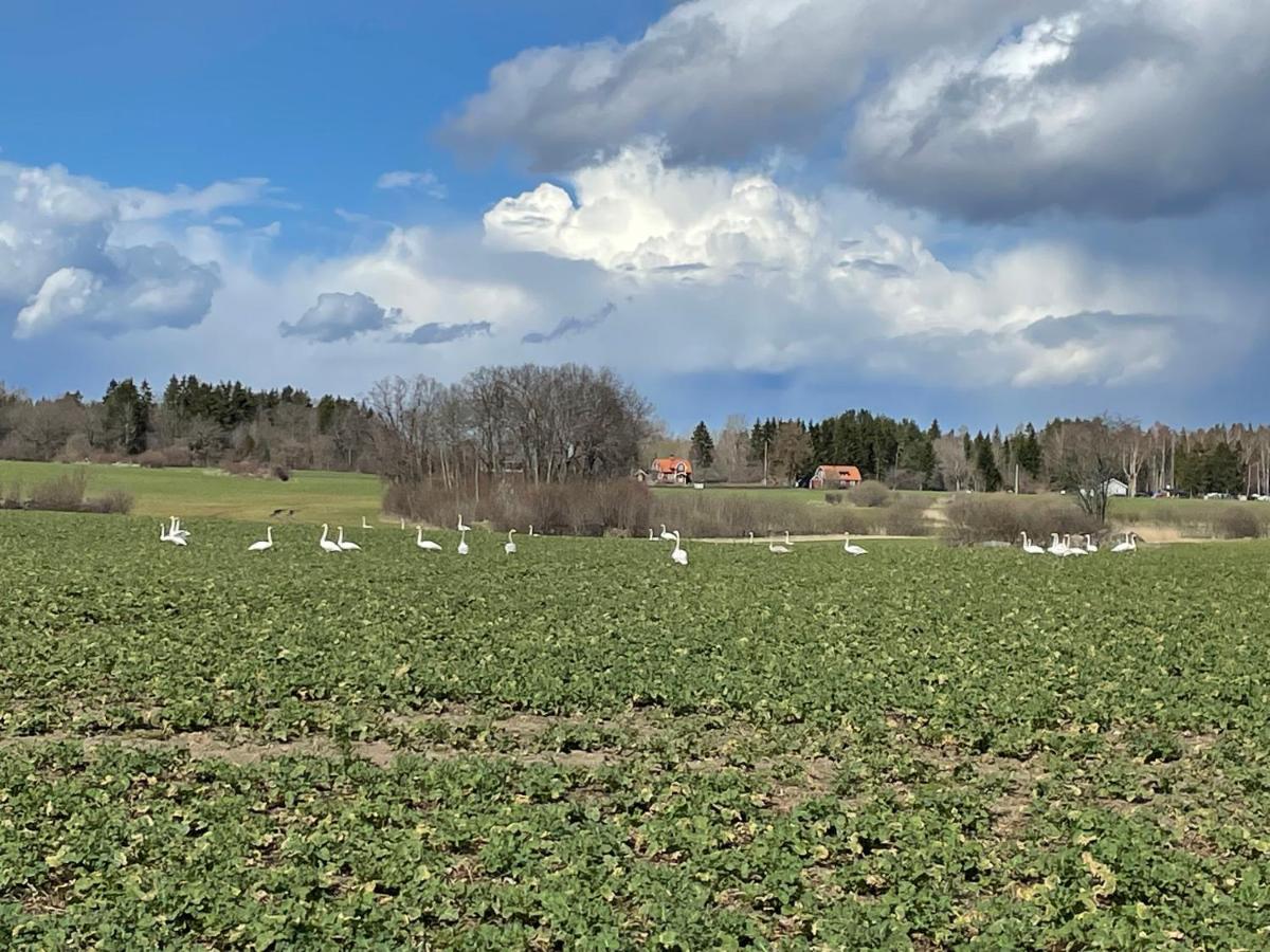 Sjoenaera Stuga Norrtalje Luaran gambar